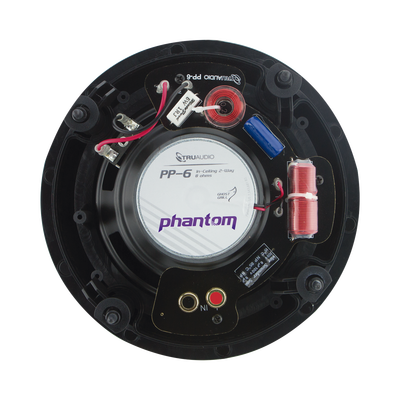 Altavoz de techo de 2 vías | woofer de 8in | 120 watts | 8 Ohms - Kompletum