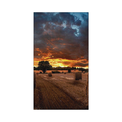 Pantalla Profesional de 46" para Video Wall, Full HD (1080p), HDMI/DVI-D, Bisel Ultra Delgado de 2.25mm. Compatible VESA - Kompletum